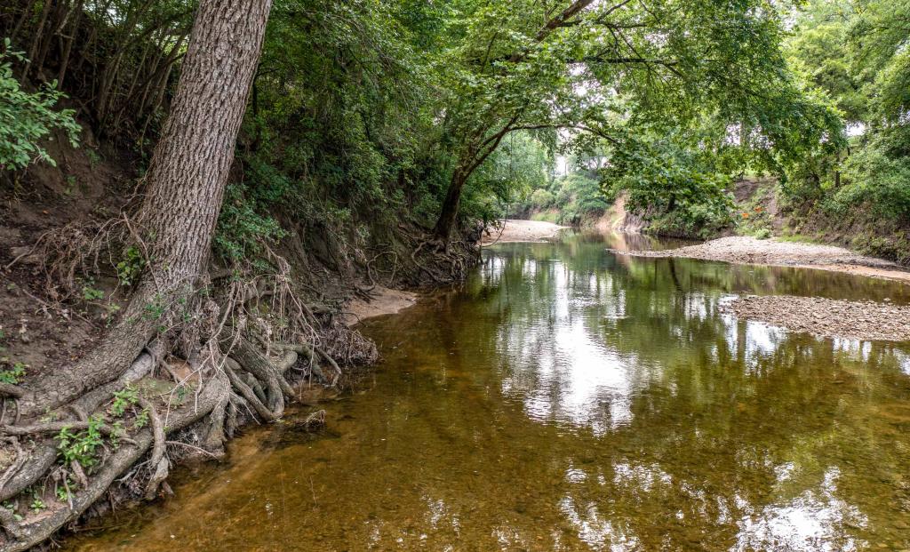 Procter P7 Lampasas River Ranch Chas S. Middleton